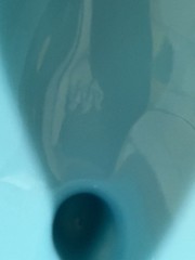Westmoreland Robin Bird Dove on Nest Footed Bowl Dish & Lid Blue Milk Glass