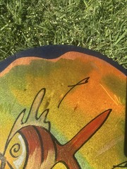 Kakadu Reut Shahar Signed Painted Wood Wall Art Mat Israel Fish 15″ Round