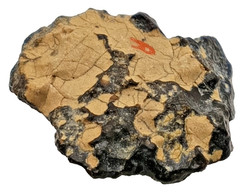 Brecciated Jasper Natural Iron Ore Specimen Iron Nickel Meteorite Rock