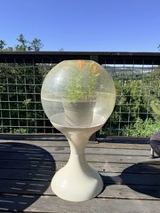 Vintage MCM Dome Terrarium Planter with Retro hour glass Base Atomic Era No Lid