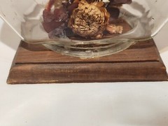 1977 Hand-Crafted Terrarium Dried Flowers Display Mixed Media