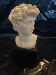 Vintage Neoclassical Grand Tour 7 Pc Bust Set