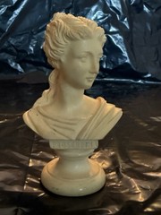 Vintage Neoclassical Grand Tour 7 Pc Bust Set