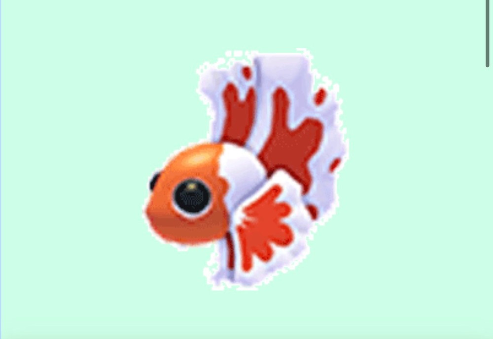 Adopt From Me Orange Betta Fish x4 ($1 for 4)
