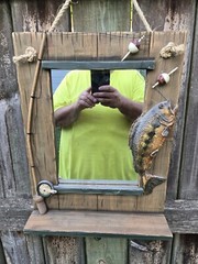 Largemouth Bass Fishing Wall Theme Mirror Cabin Cottage Lake House