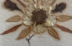 Pressed English Flowers Village Green Country Crafts England Framed Pair Signed