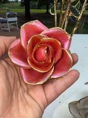 gold dipped rose steven singer