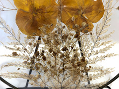 Silver Framed Round Dried Flowers & Butterfly Glass Hanging Window/Wall Decor