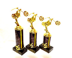 MOTORCYCLE TROPHY, BIKE AWARD, MOTORCYCLE SHOW CHOPPER 123 EIGHT COLORS