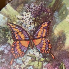 Vtg/antique deco copper Victorian hand painted tin Round advertising butterfly