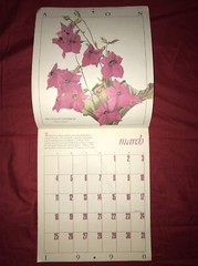 Vintage Avon Edwardian Flowers 1990 Calendar