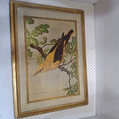 Pair of Vintage Basil Ede Bird Plaques-Gilt on Wood-Made in Italy-16 x 12-1940’s