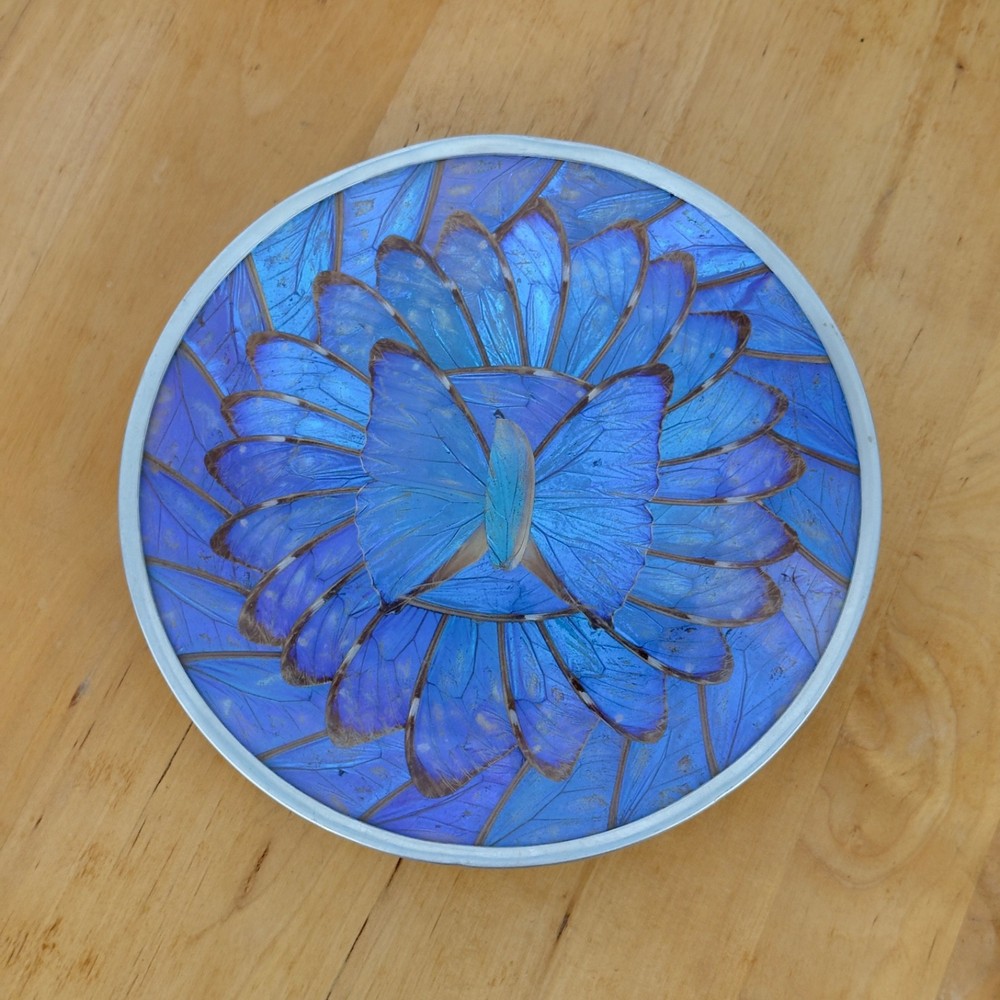 Vintage Iridescent Blue Purple Morpho Butterly Wing Small Wall Plate Morpho Art