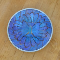 Vintage Iridescent Blue Purple Morpho Butterly Wing Small Wall Plate Morpho Art