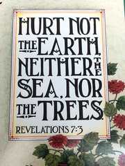 Vintage Mary Engelbreit Poster, Hurt Not The Earth, 16″x20″, 1991 Unframed
