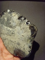 Lower Paleolithic – Large Acheulean ovate scraper. c.450,000 BP.