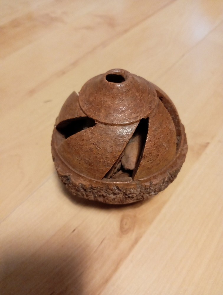 Unusual Hand Carved Brazil Nut Seeds Inside
