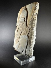 DETAILED ANCIENT N-EASTERN STONE FRAGMENT DEPICTING WINGED GENIE C 800-700 BC