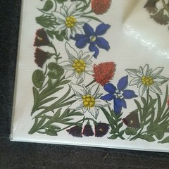 Rare Swiss WIDA Paper Vintage Serviettes & Swiss Placemats 25 Floral 2 Packs