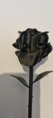 Gothic Skull Rose 3d Printed Gift Perfect Wedding Or Friend Halloween Present