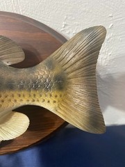 Decorative Replica Bass Fish Mounted Wood Plaque 11”