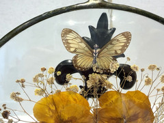 Silver Framed Round Dried Flowers & Butterfly Glass Hanging Window/Wall Decor