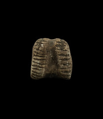 Authentic Ancient Egyptian Antiques Rare Stone Amulet Bead Pendant Figure BC