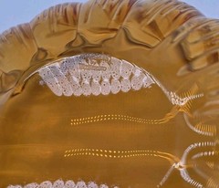Marquis By Waterford Crystal 8″ Orange Pumpkin Lidded Candy Dish Bowl Halloween