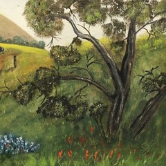 Original Bluebonnets Windmill Hills Trees Country Roads Unframed Painting Signed