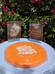 Jungle Boys “Playing With Fire” Promo Orange Frisbee Collectible Display Piece