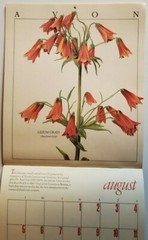 Vintage Avon Edwardian Flowers 1990 Calendar