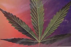 Marijuana Weed Cannabis Pot Leaf Psychedelic Large Ceramic Tile Vintage 1990s