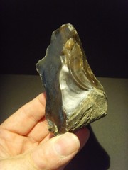 Lower Paleolithic – Faceted Acheulean scraper. c.450,000 BP.