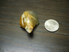 UNKNOWN Carved Turtle
