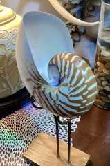 Large Tiger Mother Of Pearl Nautilus Seashell Specimen with Display Stand