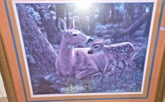 Home Interior Deer Foe Fawn Framed Rustic 27×23 Cabin Wall Art Lodge