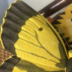 Vintage Butterfly Set Wall Hangings Imports Inc Resin 2006 Heavy Monarch Yellow