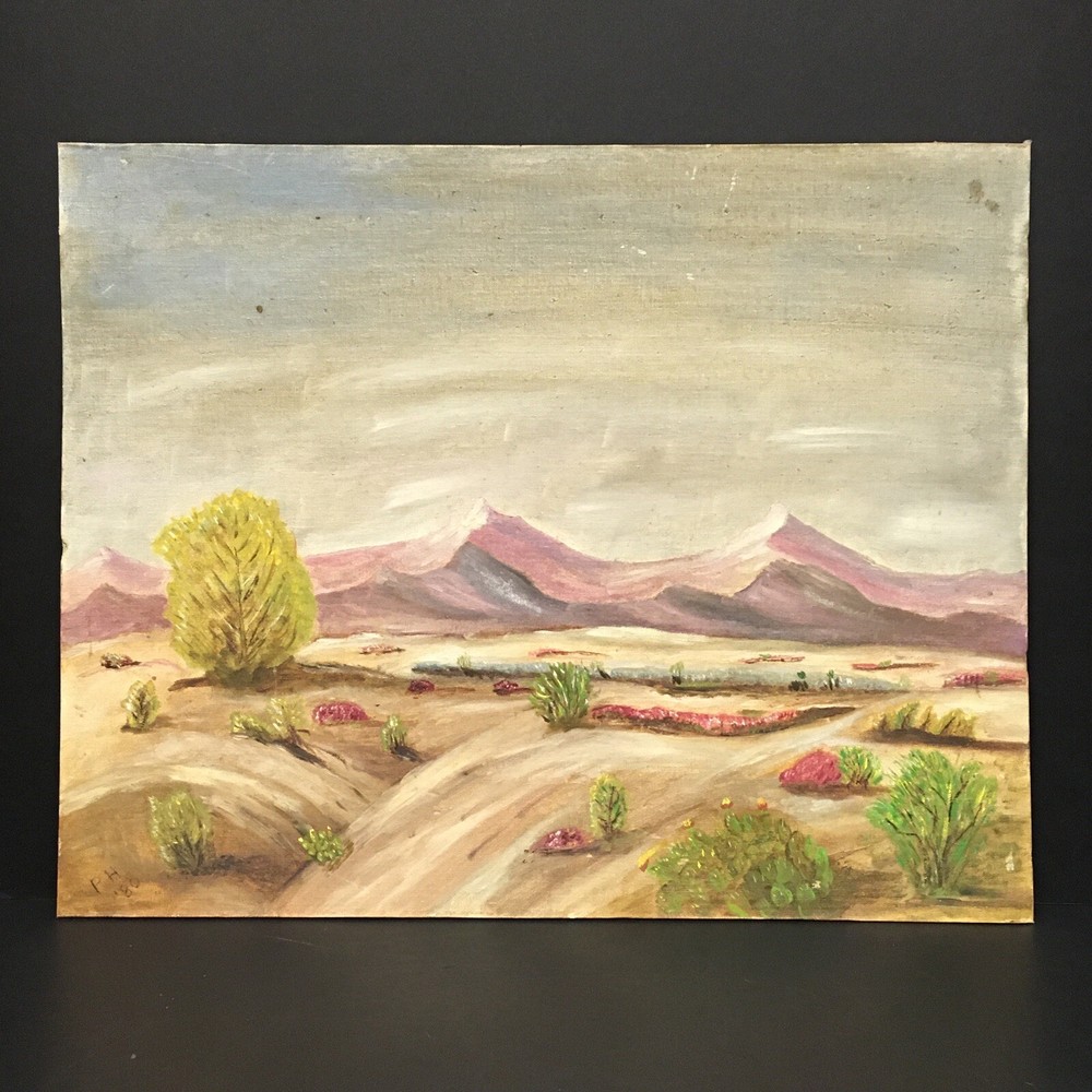 Vintage Amateur Desert Mountain Plein Air Landscape Oil Painting Unframed Issues