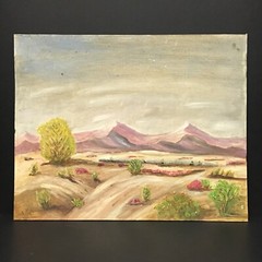 Vintage Amateur Desert Mountain Plein Air Landscape Oil Painting Unframed Issues