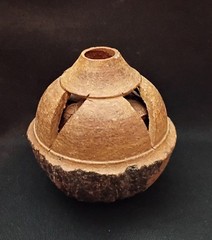 Vintage Folk Art Carved Brazil Nut Pod w/ Brazil Nuts Inside
