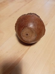 Unusual Hand Carved Brazil Nut Seeds Inside