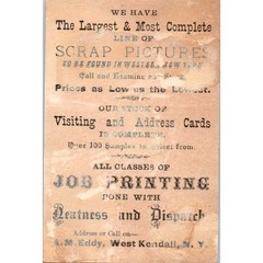 1880s Trade Card Don’t Read the Other Side – A.M. Eddy West Kendall NY SF2
