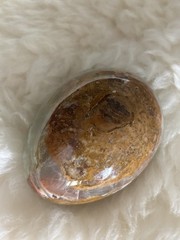 Marble Alabaster Carved Polished Egg Art Decor Paperweight 3″ Long