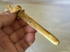 AMAZING PRE-COLUMBIAN LLAMA EFFIGY VOMIT STICK / HAIRPIN FROM PERU MOTLEY COA