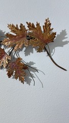 MCM Vintage Copper Metal and Brass Maple Leaf Spray Wall Hanging 21 x12