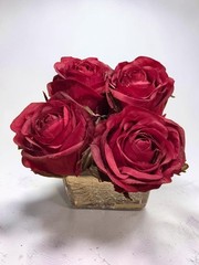 Red Rose Buds Silver Crackle SquareBy Emilio Robba