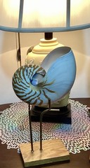 Large Tiger Mother Of Pearl Nautilus Seashell Specimen with Display Stand