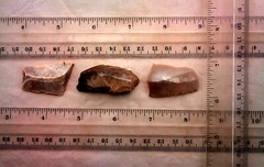 Lower Paleolithic Levallois technique.” Acheulian” 1.4MYA. The Eshelo-Yabrudic