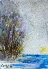 Original ACEO Watercolor Painting by Mary King – Blooms by the Water