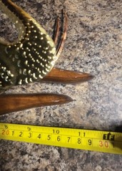 Vintage Pr Swan Cattails 5 Butterflies Wall Decor Home Interiors Wood Metal MCM